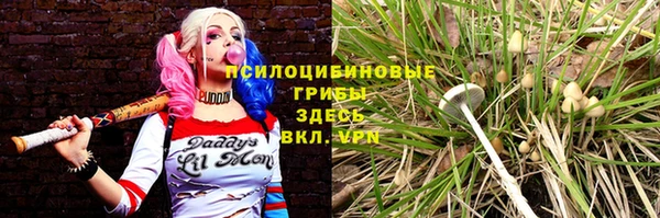 бутират Алзамай