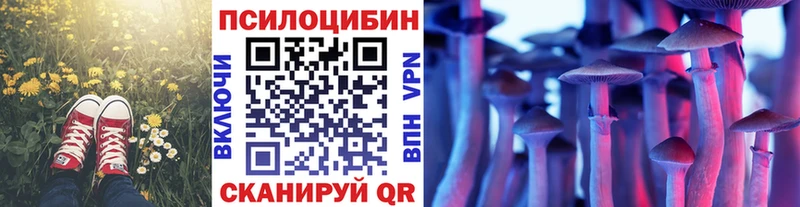 Галлюциногенные грибы Psilocybe  Салават 