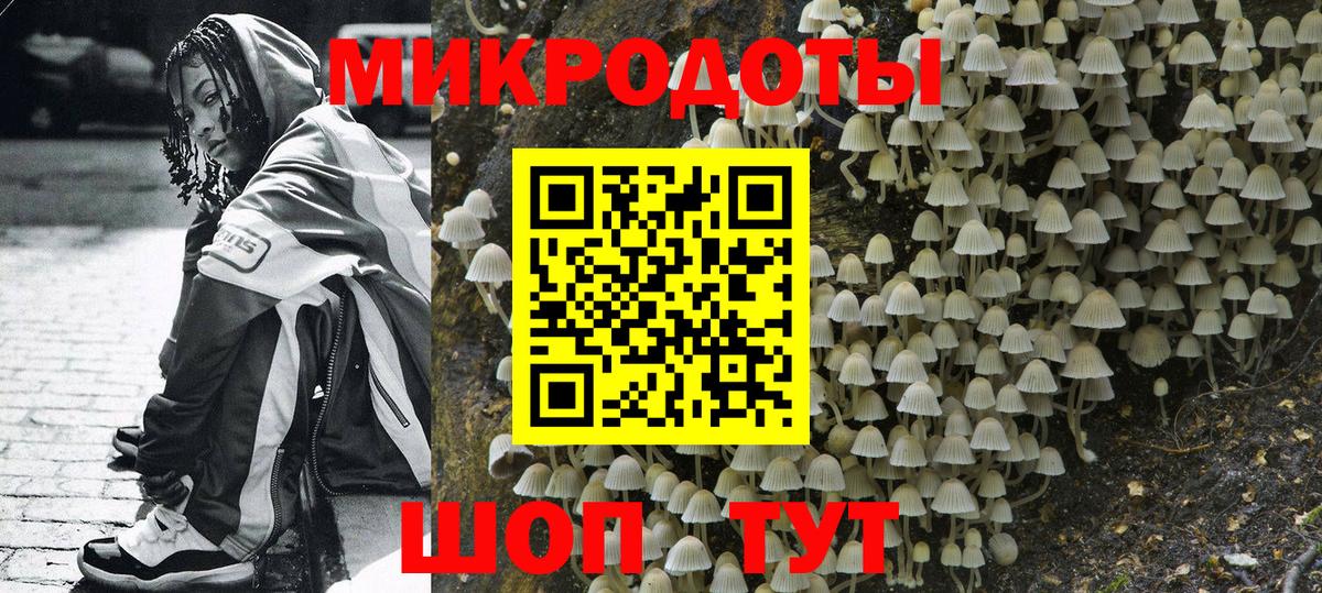 Псилоцибиновые грибы мицелий Салават