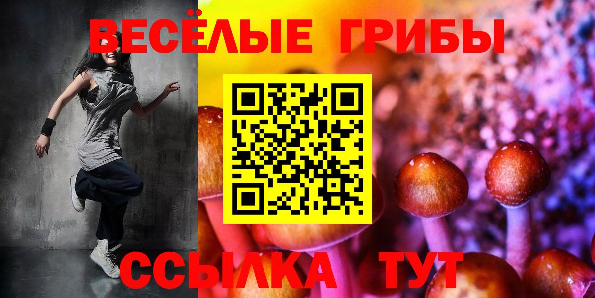 Салават  Галлюциногенные грибы Cubensis  Галлюциногенные грибы ЛСД  Вход с VPN 